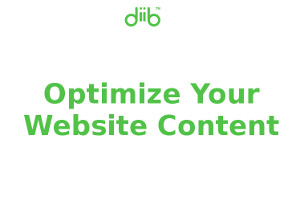 DiiB.com: a powerful SEO tool